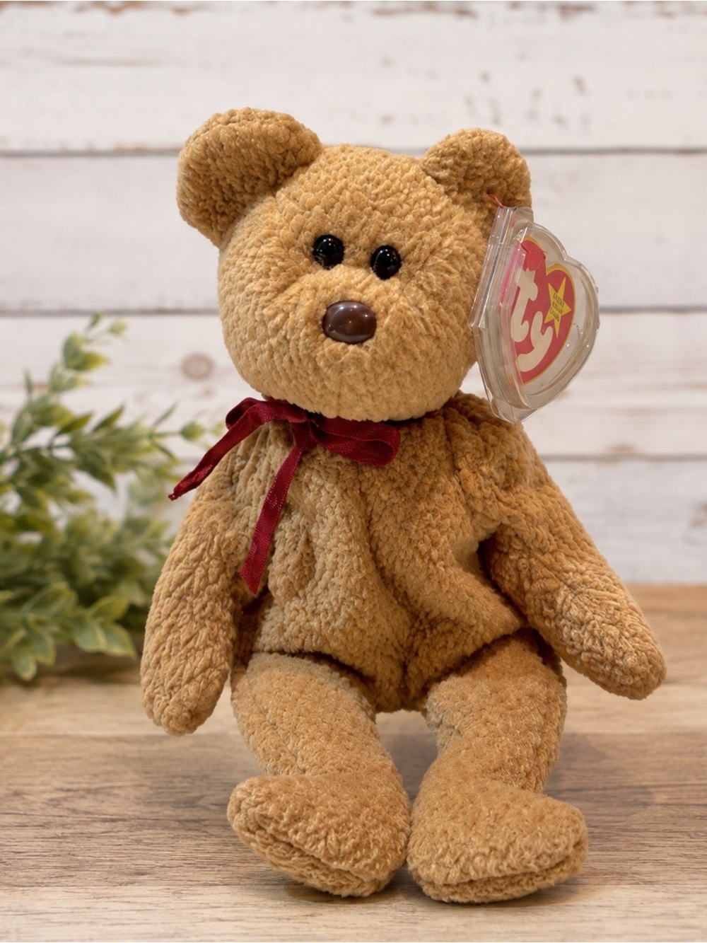 Vintage Ty Beanie 1993 Curly Bear Plush‎ Toy